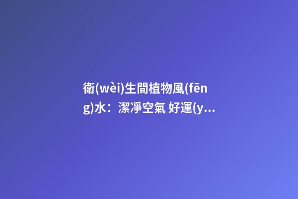 衛(wèi)生間植物風(fēng)水：潔凈空氣 好運(yùn)氣